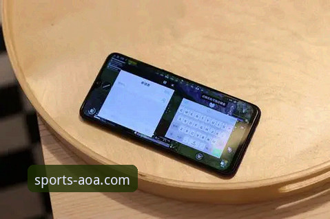 AOA体育APP手机版技术评测：安装、性能与用户体验详解