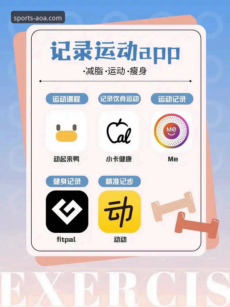 AOA体育APP好用吗？实用指南带你探索创新体育互动体验