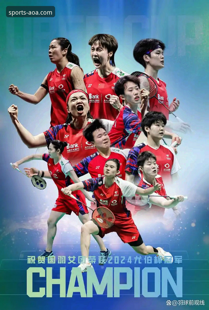 AOA体育APP官方下载 vs. 第三方渠道：安全与体验的全面对比分析